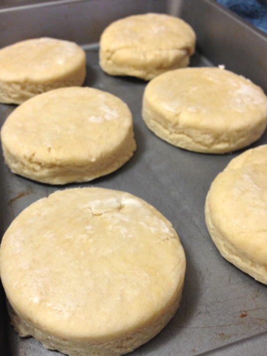 Plain Scones before coated with butter
